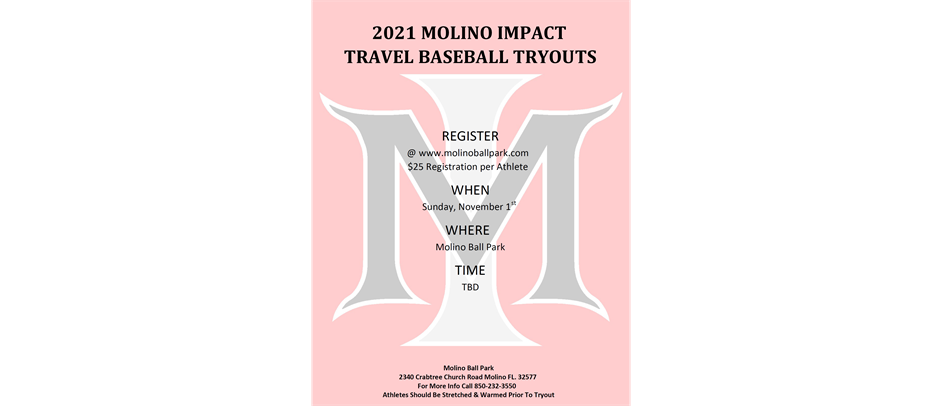 Molino Impact Travel teams
